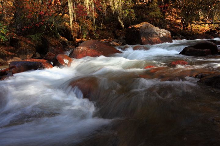 猎塔湖出现巨大"湖怪"身影,一探究竟后大家都笑了