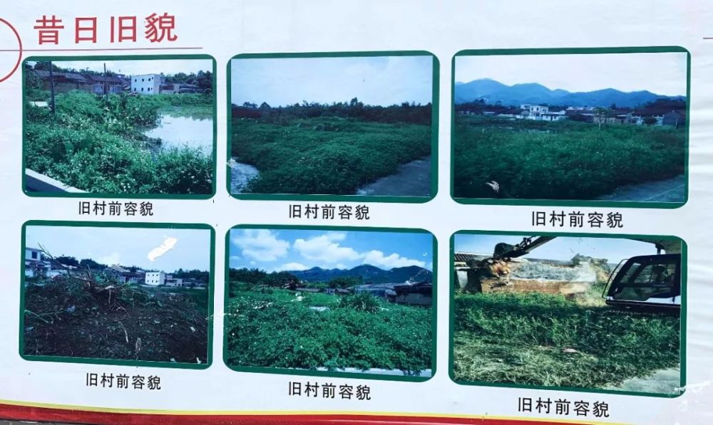 三坑75岁"拳痴"重出江湖?厉害!