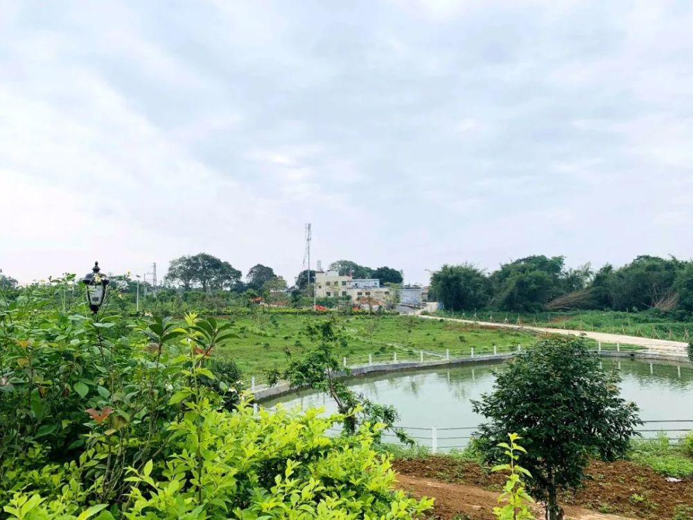 三坑75岁"拳痴"重出江湖?厉害!