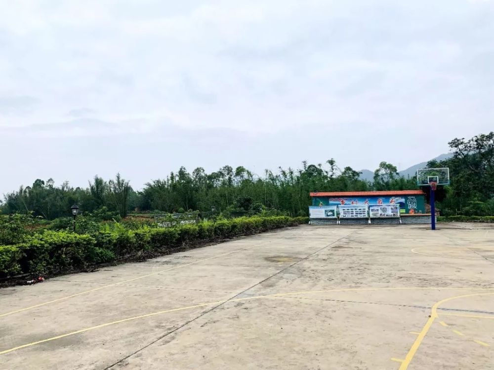 三坑75岁"拳痴"重出江湖?厉害!