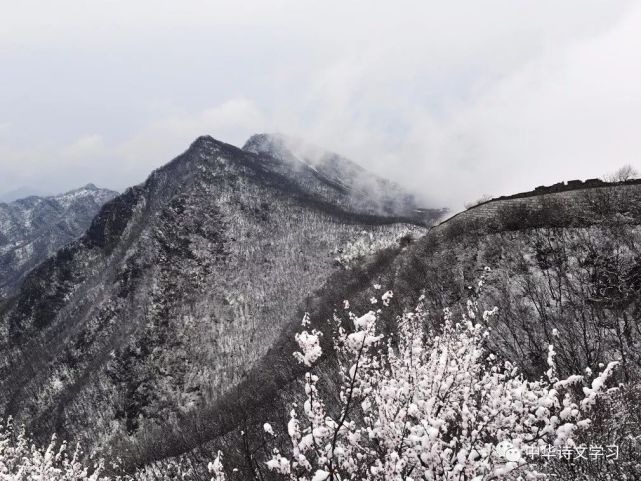 菜根谭 八大传世名言 看到就是收获