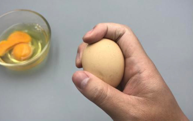 鸡蛋,鸡蛋壳