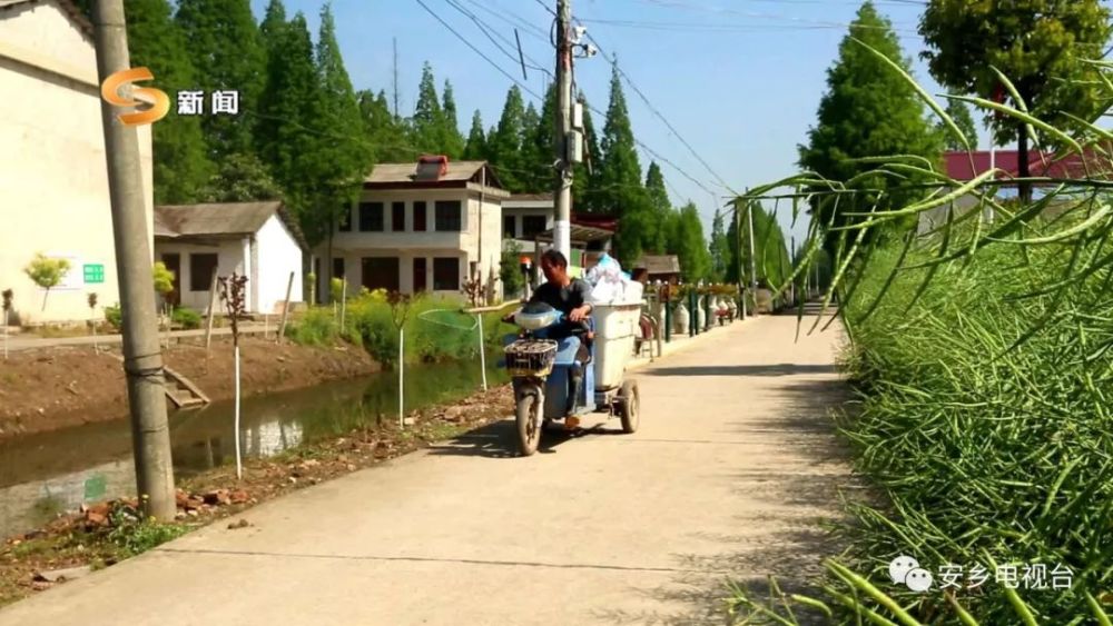 安乡县下渔口镇:人居环境整治激发美丽乡村新活力