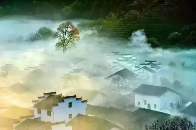 凡是太聪明太算计的人,都是很不幸的人(深度好文)