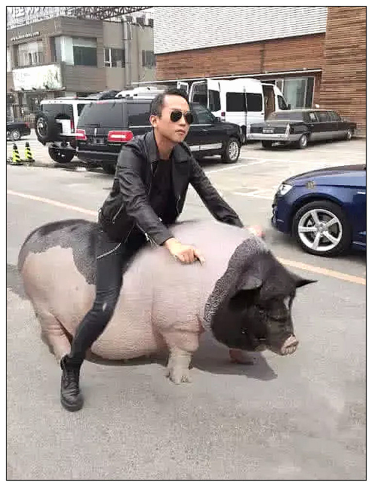 让人笑到抽筋的p图神作:前面两个我忍住了,看到邓超后瞬间笑尿