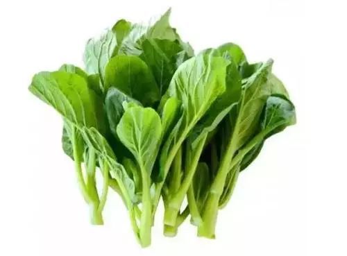 "油蔬两用",在不影响油菜籽产量的前提下,采摘油菜菜薹可以增加油菜