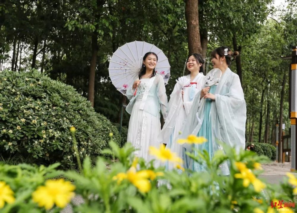 汉服|扒一扒，成都为何是“汉服第一城”？