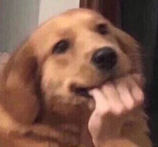 【沙雕狗子表情包】做我的狗子吧,狗粮都给你_腾讯新闻