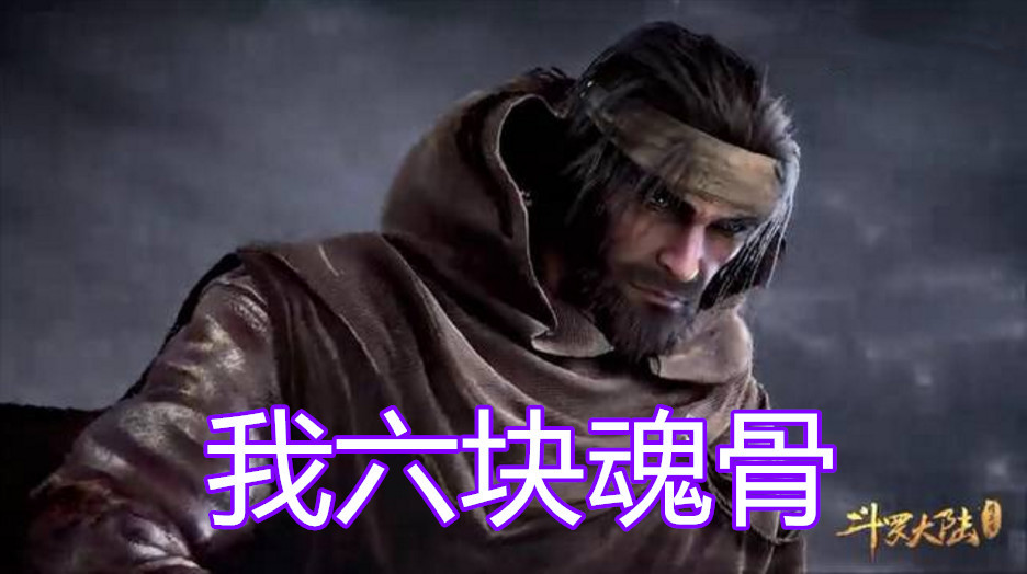 斗罗:魂骨数量大排行,唐昊垫底唐三拥有7块,而他却拥有8块