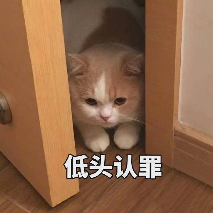 小姐姐