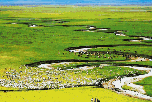 【文化资讯】呼麦,蒙古长调,马头琴……奈热乐队为你策马而来