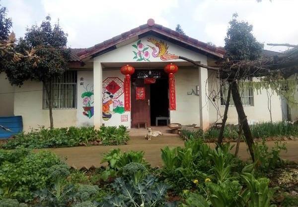 夏天农村院子常有蛇出没,这几个土方不用武力,就能将它轻松赶走