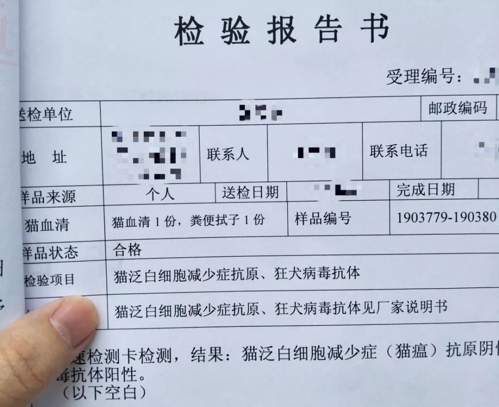 之後帶sai去市所認可的寵物醫院採樣,再在獸醫建議的時限內將樣本送