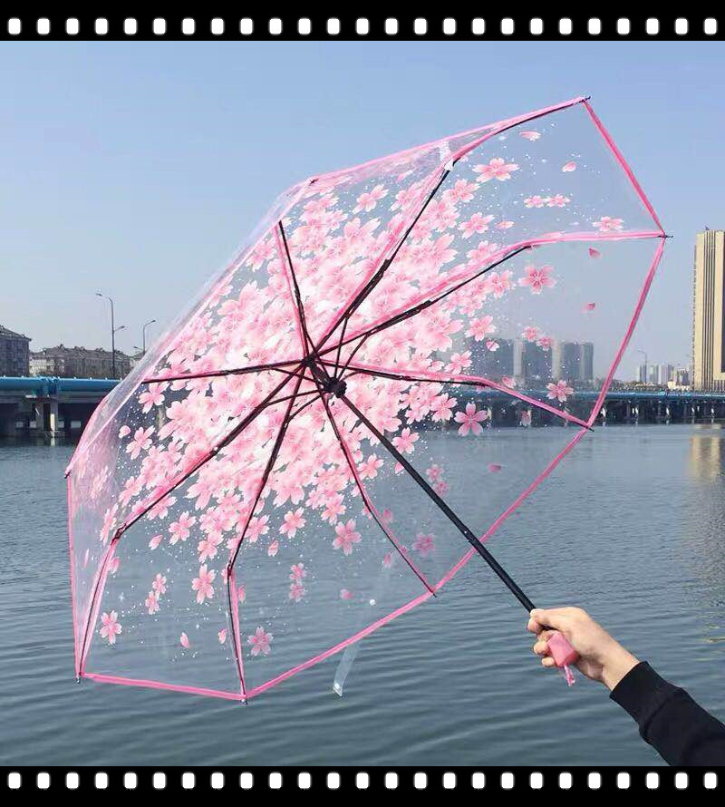 最近流行"樱花雨伞",小仙女人手一把,打开伞的一刻少女心炸了
