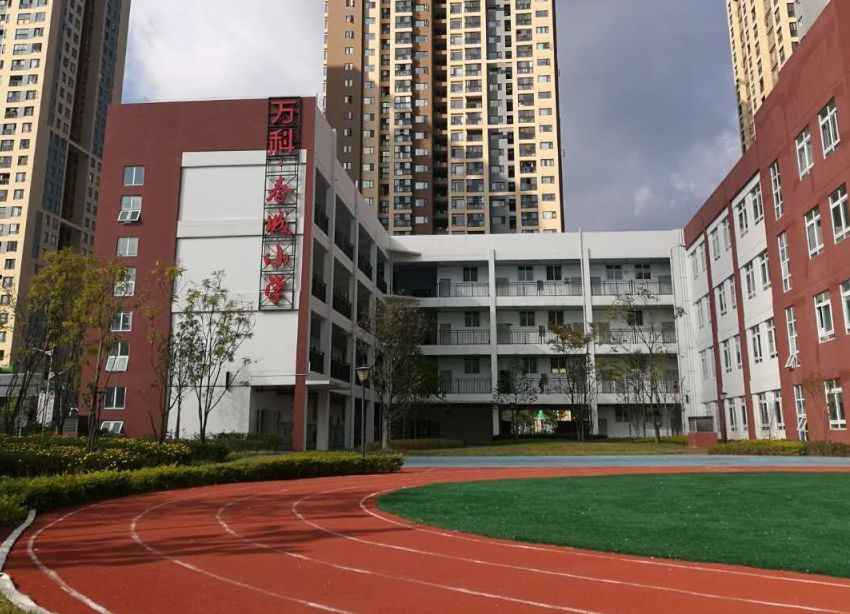 春风化雨 春城小学"润"蕾花开