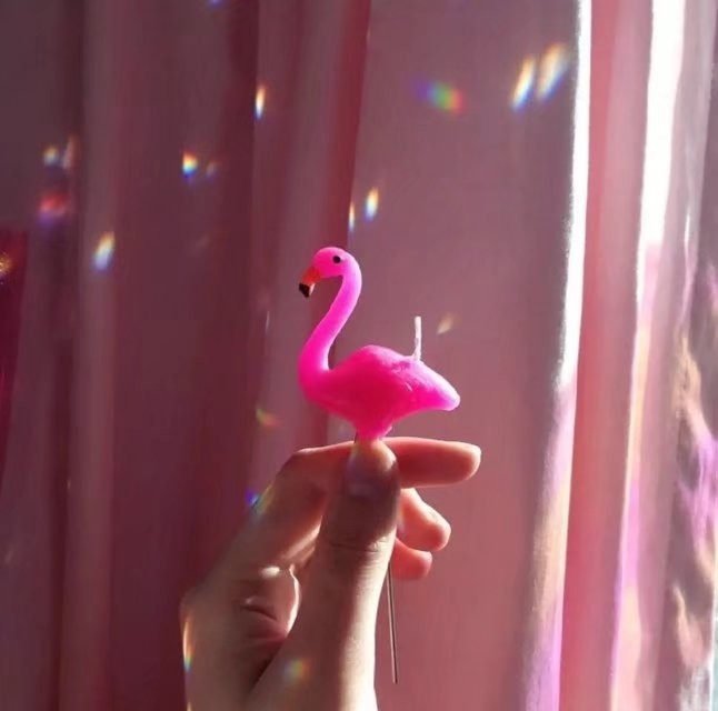 被上帝吻过脸的星座女,越长大越漂亮,稍微一努力就是"白富美"