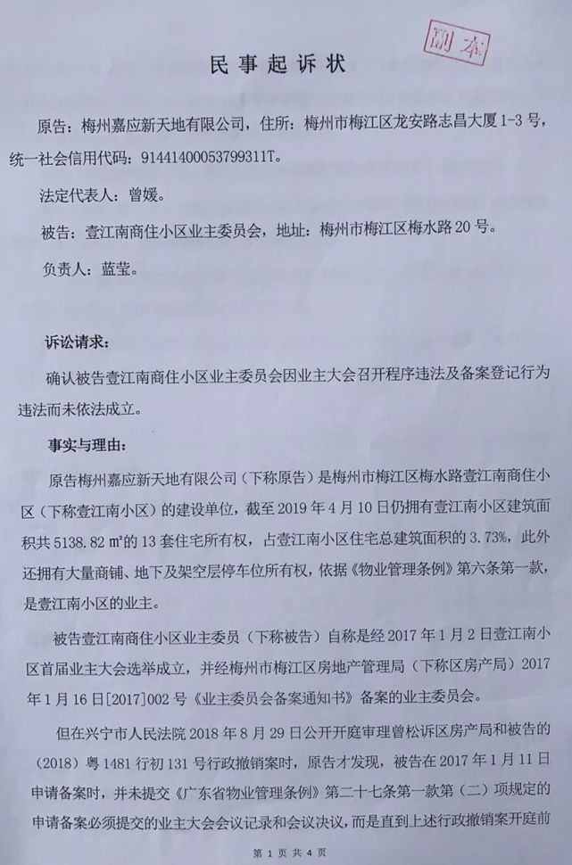 开发商向法院起诉请求确认壹江南小区业主委员会未依法成立