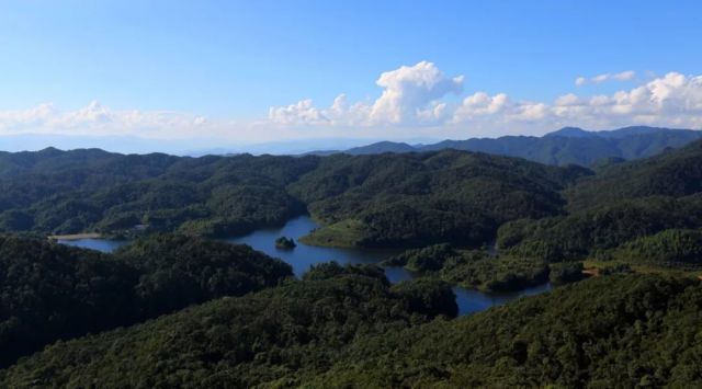 圖片來源:普洱市委宣傳部 它是屬於橫斷山脈雲嶺的餘脈,點