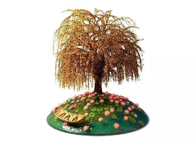 心理测试:你觉得自己像哪一棵大树?测你身边谁