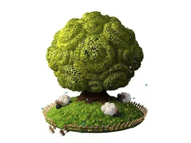 心理测试:你觉得自己像哪一棵大树?测你身边谁