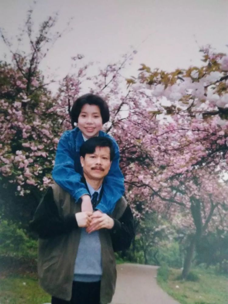 一篇催人泪下的悼妻文--樱鸣