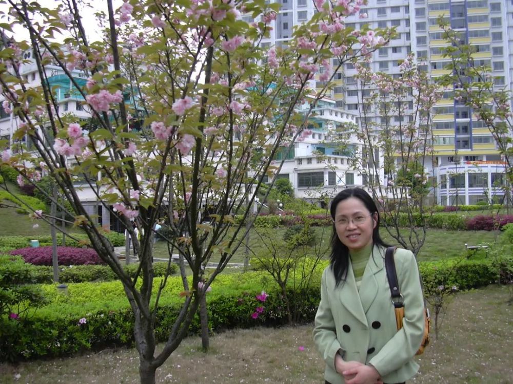 一篇催人泪下的悼妻文--樱鸣