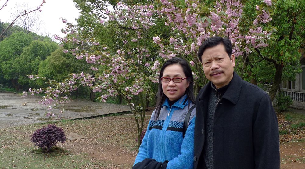 一篇催人泪下的悼妻文--樱鸣