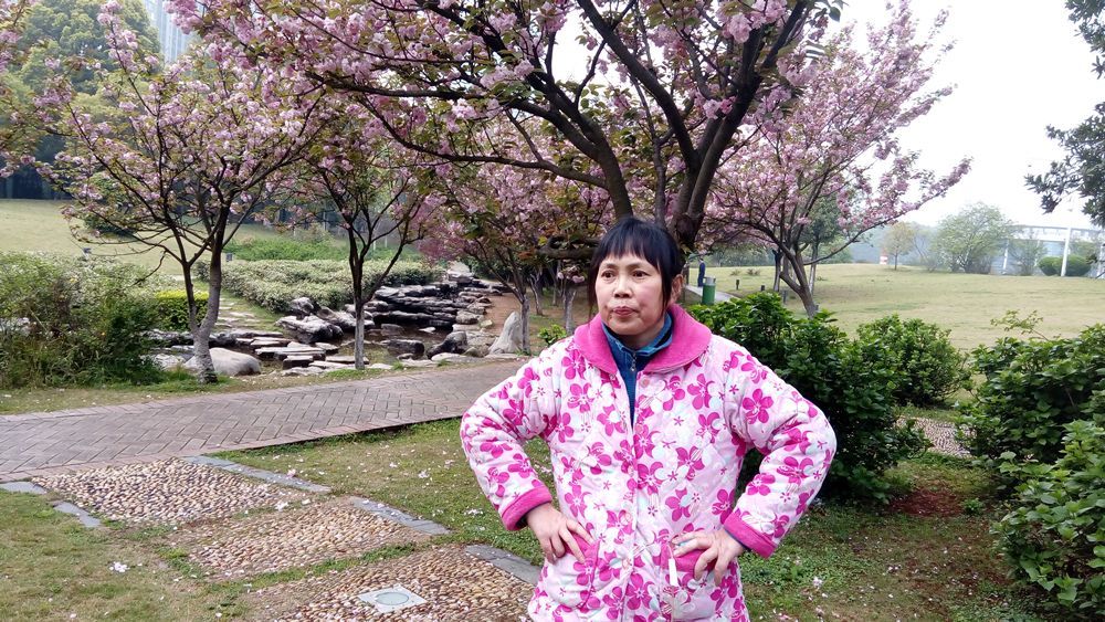 一篇催人泪下的悼妻文--樱鸣