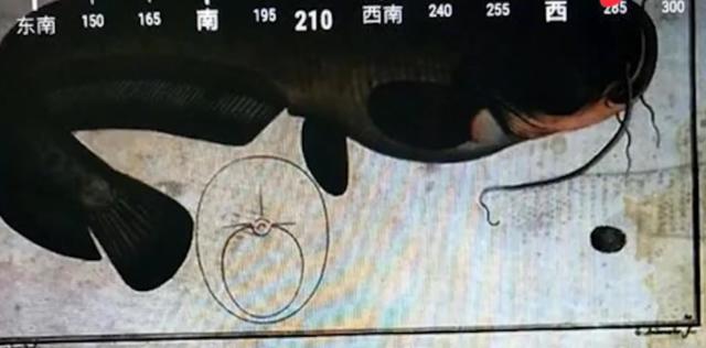 刺激战场里,吃鸡源自1963鲶鱼计划,我带你揭秘