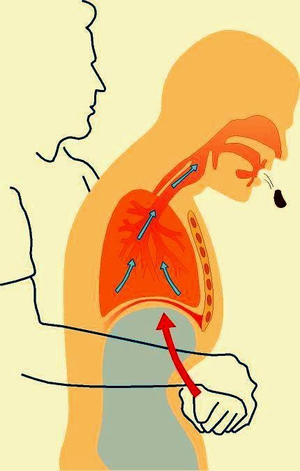 隐形的哨子你看不到的那些呼吸道异物风险
