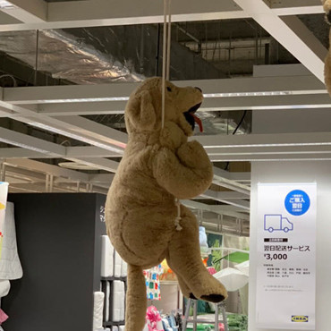 店里惊现泰迪熊"上吊",顾客们不忍想救,上前一看后却笑了