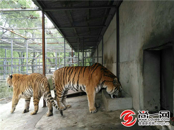 常德汉寿野生动物园预计明年10月开园