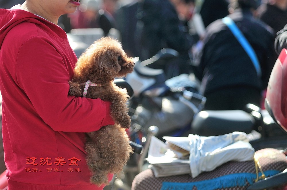 沈阳这个早市有年头,二百年历史的盛京第一早