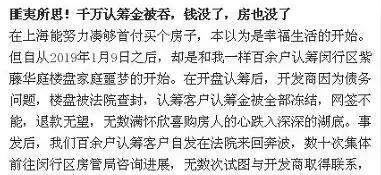 这个坑太大了:百万认筹金被冻结,网签不能!