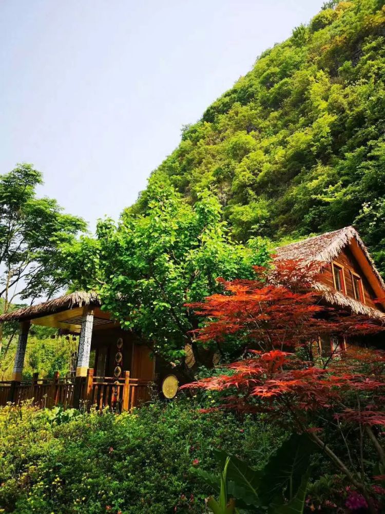 避暑游 巧选抖音网红打卡胜地