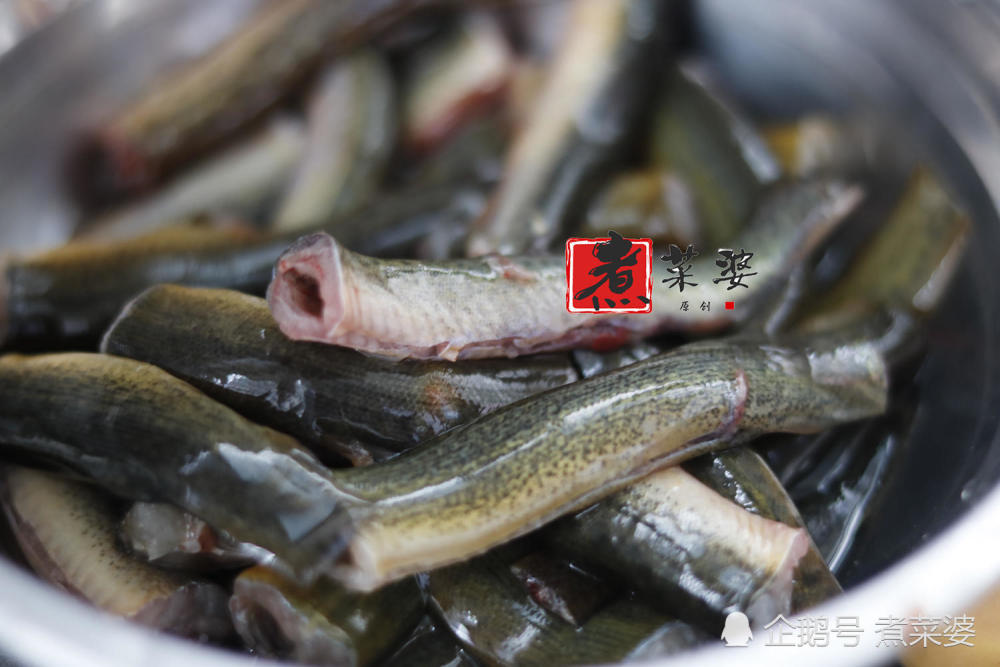 中,倒入淘米水泡个半小时,抓出放在菜篮里冲洗干净,用剪刀剪去泥鳅头