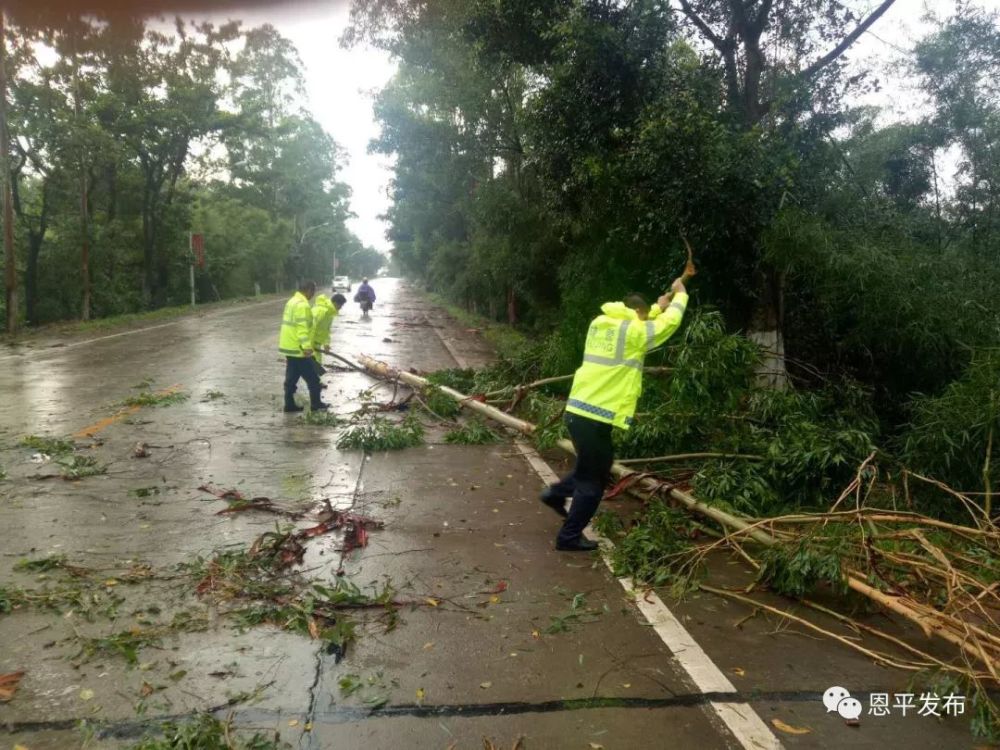 民警清理倒塌树木