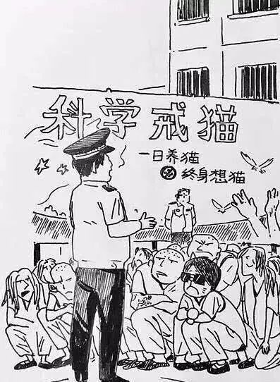 吸猫上瘾，却对猫过敏