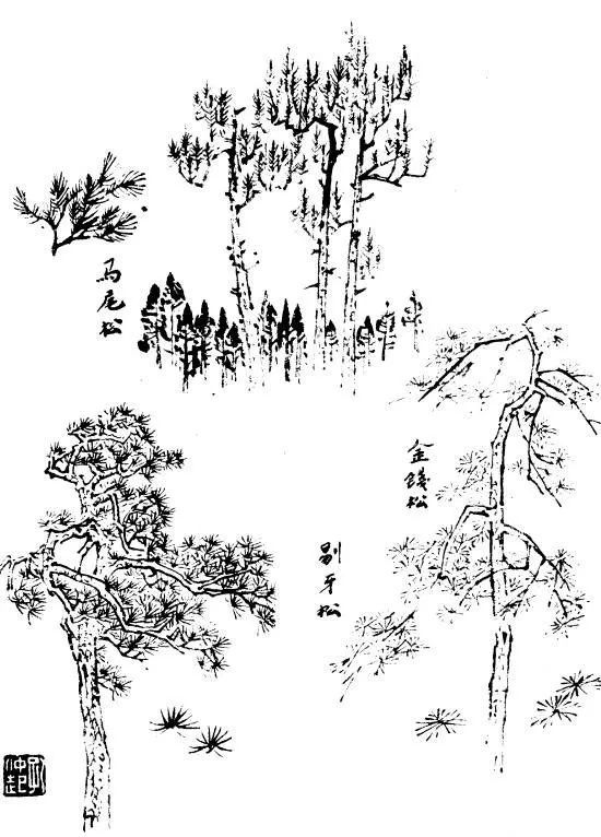 百树谱,太实用了!收藏备用