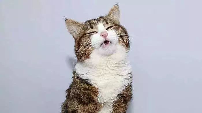 不来安慰本王,菊花暴击管够!现在来说话?晚了!