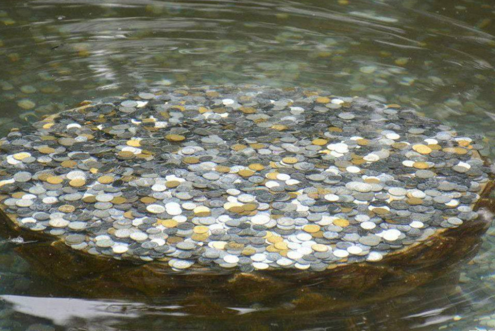 众多游客在许愿池投下硬币,而硬币的最终的归宿在哪?