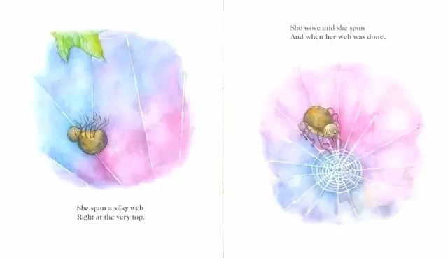 【有声绘本故事】《the itsy bitsy spider》可爱的小蜘蛛
