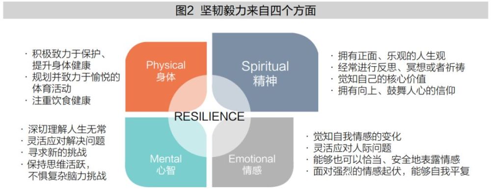 原创坚韧领导力resilienceleadership的天龙八步