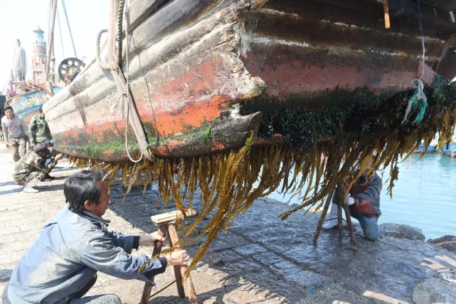 定了 大连 封海 4个月 封海期间海鲜从哪来 大辽网 腾讯网