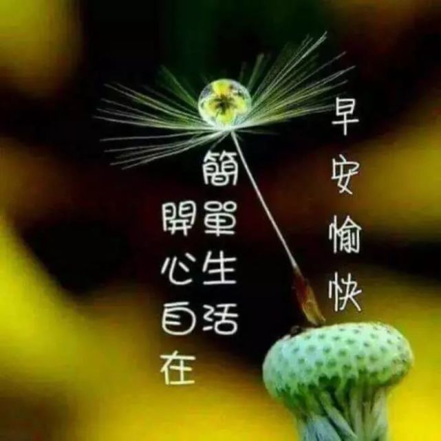 早上好问候祝福语图片带字2020暖心的早上好祝福