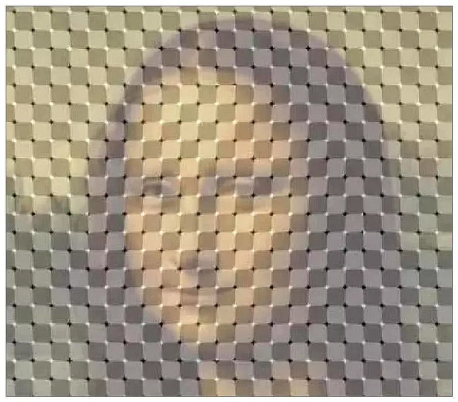 6张让你产生幻觉的错觉图,图4到底几个人,活过来的蒙娜丽莎?