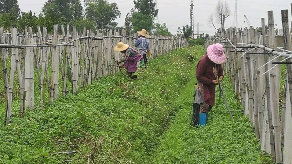 【关注十亿人】以色列的什么技术,帮助十亿人