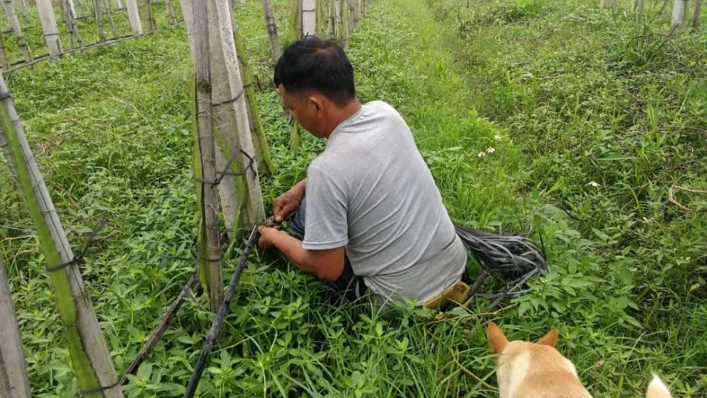 【关注十亿人】以色列的什么技术,帮助十亿人