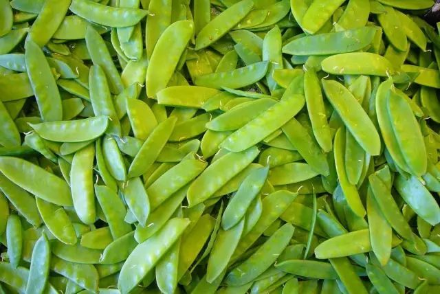 中国豆,荷兰豆,你到底是啥豆?