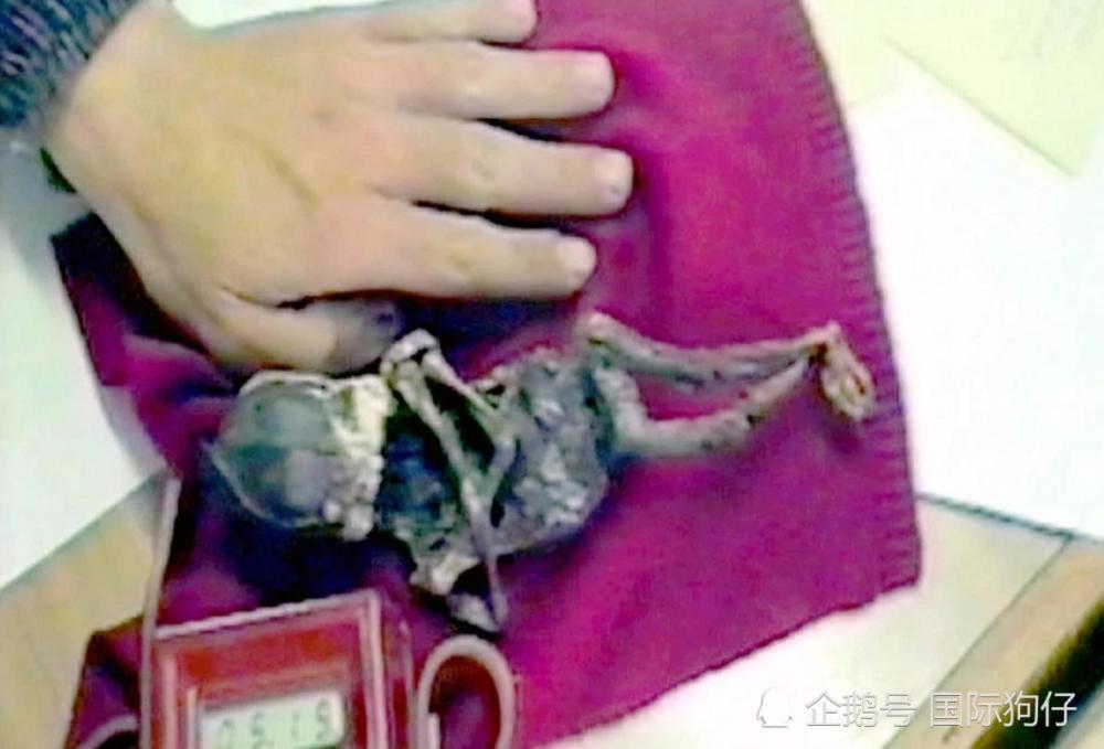 外星人尸体真实身份确认,原来是人类胎儿